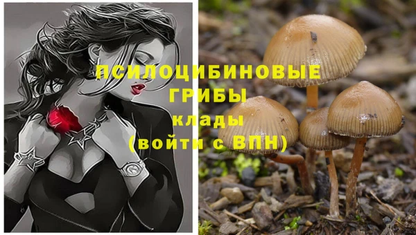 мефедрон мука Киреевск